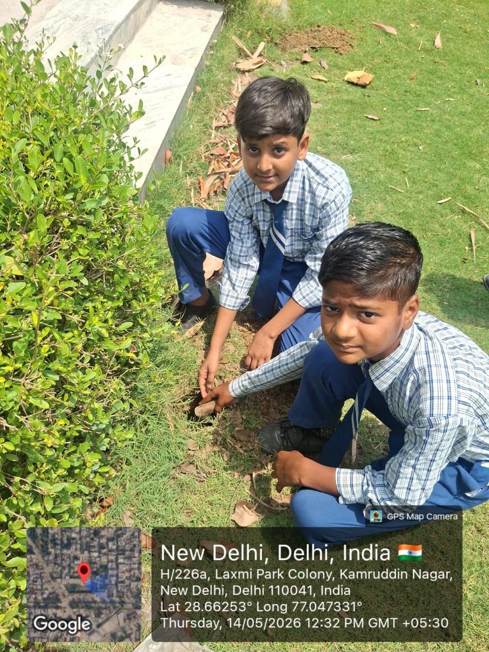 Tree Plantation